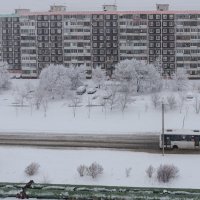 Зима вернулась :: Виктор Иванович Чернюк