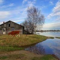 Деревенская весна :: Valentina K