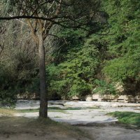 Гости :: Vitrevi 