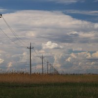 Астраханская природа :: Татьяна Салиева