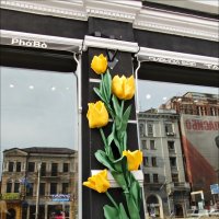 Интерьер! :: Надежда 