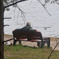 Прекрасный день :: Дмитрий И_