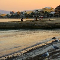 Утро на побережье :: Юрий. Шмаков