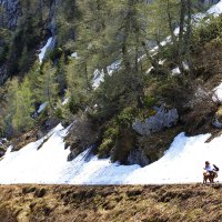 Девушка с собачкой :: Ирэн 