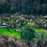 The surroundings of the village of Mezmai. :: Игорь Хижняк