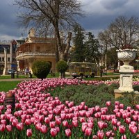 *** :: Игорь Kуленко