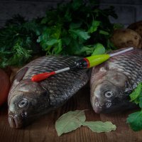 Карасёвый :: Георгий Кулаковский