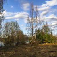 По берегу :: Сергей Цветков