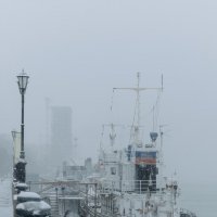 На зимовке. :: Егор Бугримов