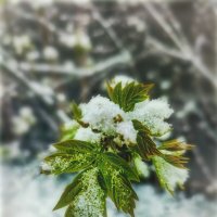 21-е апреля :: AZ east3