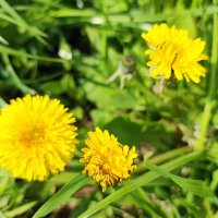 ,,, :: Сергей Тимоновский