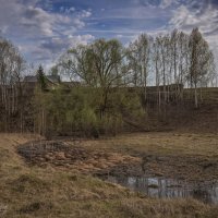 "Зеленая дымка весны у талой воды. Снег выпал и растаял"© :: Владимир Макаров