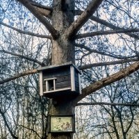 Домик для лесных жителей :: Veera V