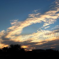 На закате :: Natali 