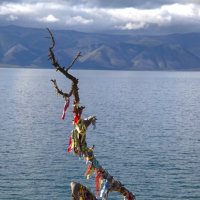 Байкальские зарисовки :: Любовь Сахарова