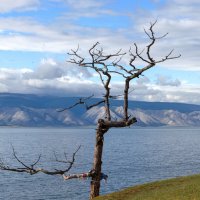 Байкальские зарисовки :: Любовь Сахарова