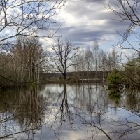 Половодье :: Сергей Цветков