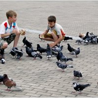 Дети кормят голубей. :: Владимир Попов