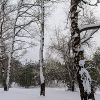 Пейзаж снежного апрель :: Александр Синдерёв