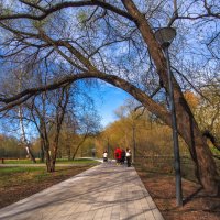 Прогулкив весеннем Парке :: юрий поляков