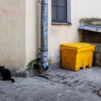 Во дворе на Писарева :: Eugene *