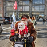 весна на Невском проспекте :: ВЛАДИМИР 