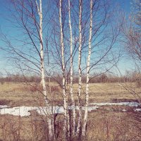 Фотография :: Денис Безногов