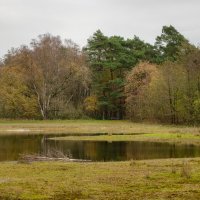 В начале декабря... :: Николай Гирш