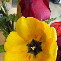 Желтый :: Татьяна Пальчикова