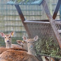 лейпциг2026 :: Алексей Короткевич