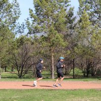 беговая дорожка :: Венера Чуйкова