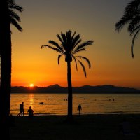 Закат в Пальме Де Майoрке :: Юрий. Шмаков