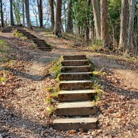 Лесенка-чудесенка. :: Лия ☼