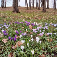 На горке. :: Лия ☼