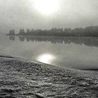 утро туманное :: shasha1950 