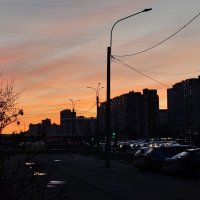 Вечер :: Андрей 