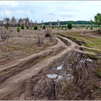 Однажды в апреле... :: Aquarius - Сергей