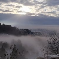 Туманное утро :: Юлия 