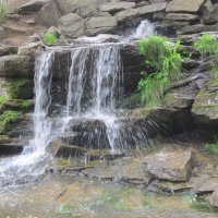 В парке-Радуга :: Елена Шаламова