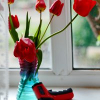 В оттенках красного :: Юрий Гайворонскiий