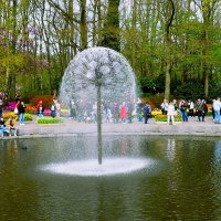 Королевство цветов(серия) :: Владимир Манкер