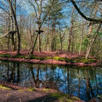 Пруд :: Jakob Dick