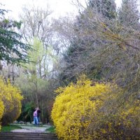 Весна в парке ТНУ :: Валентин Семчишин