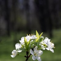 *** :: Александр. AVG100 ---