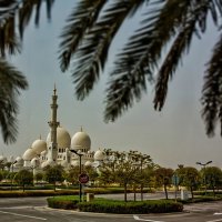 UAE 56 :: Arturs Ancans