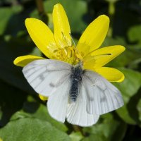 Весна! :: Aleksandr .