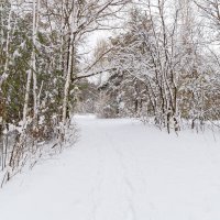 Снежный весенний пейзаж :: Александр Синдерёв