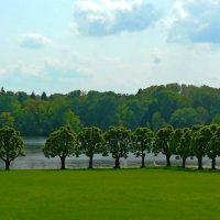 На берегу  пруда в Марьино. :: Александр Герасенков