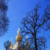 *** :: Сергей Григорьев