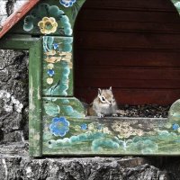 Мой домик... :: Валентина *